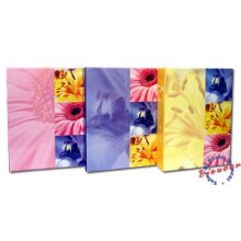 Pioneer 4R200 Fleur-de-lis